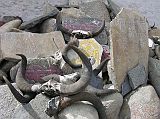 Tibet Kailash 02 Nyalam 08 Gompa Mani Stones and Horns Various mani stones and horns decorate the courtyard of the Nyalam gompa.